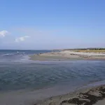 Beachfront Bliss - By Traum Store Fuglede