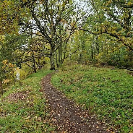 Beachfront Bliss - By Traum *