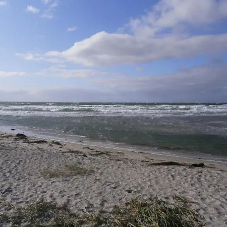 Beachfront Bliss - By Traum Store Fuglede