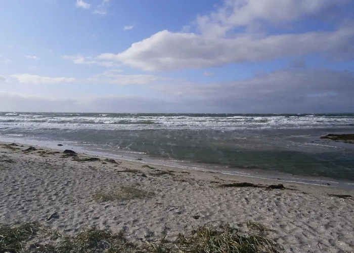 Beachfront Bliss - By Traum Store Fuglede