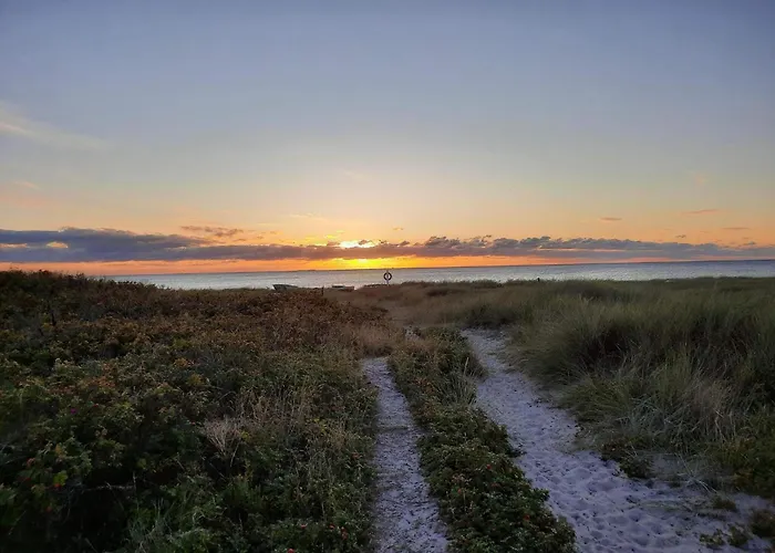 Beachfront Bliss - By Traum Store Fuglede