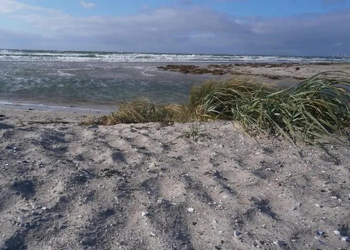 Beachfront Bliss - By Traum Holiday home Store Fuglede